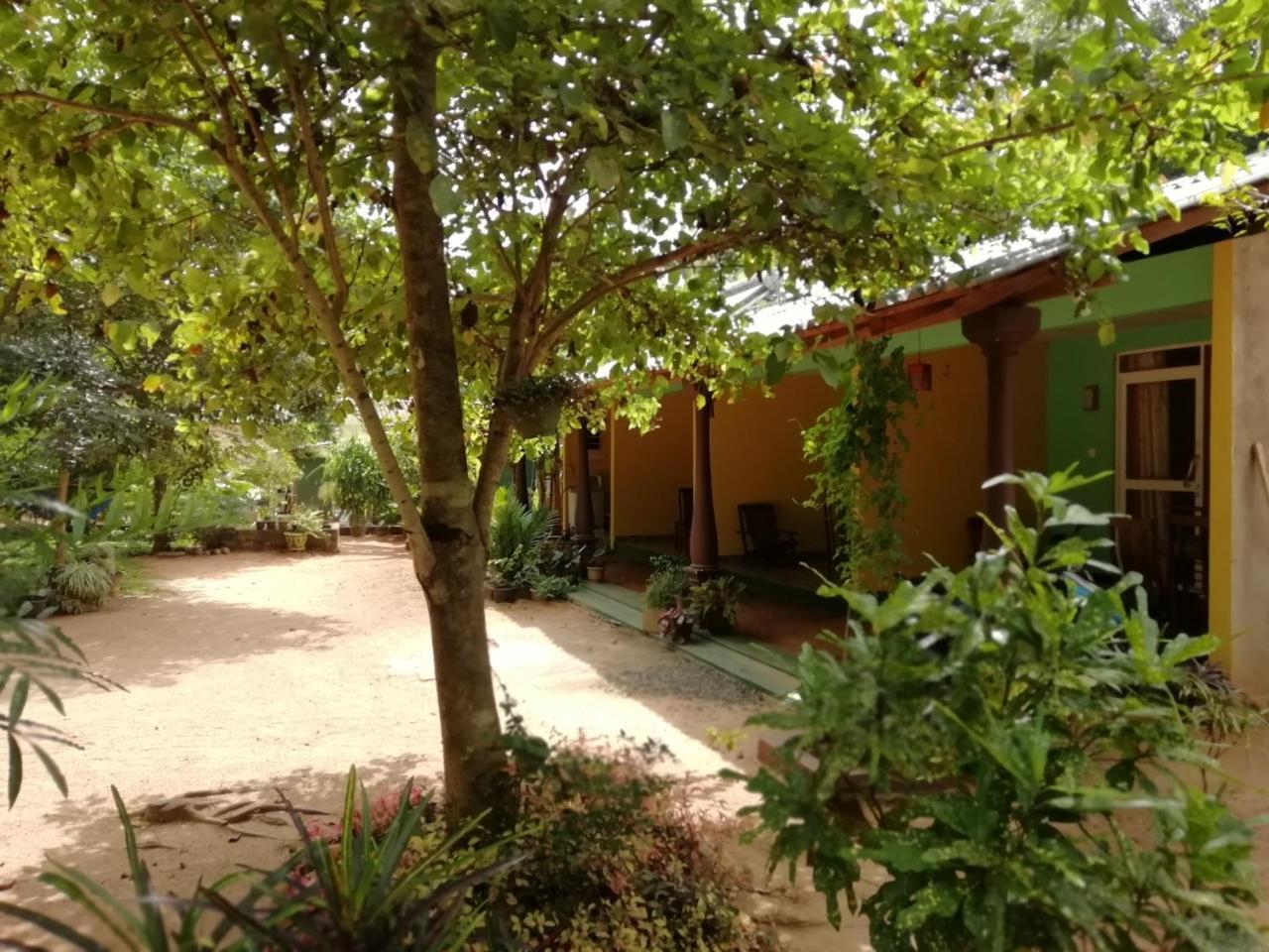 Sigiri La Veranda Lodge Kibissa Buitenkant foto