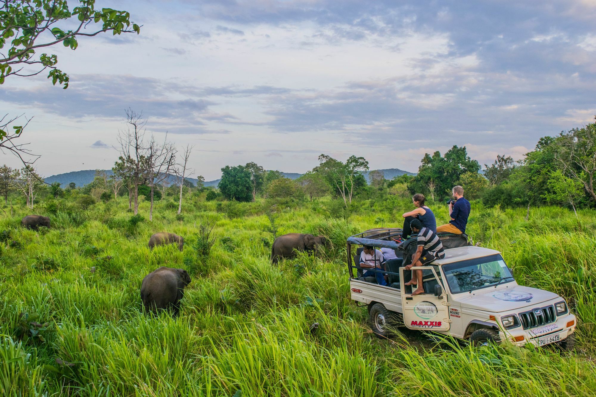 Sigiri La Veranda Lodge Kibissa Buitenkant foto